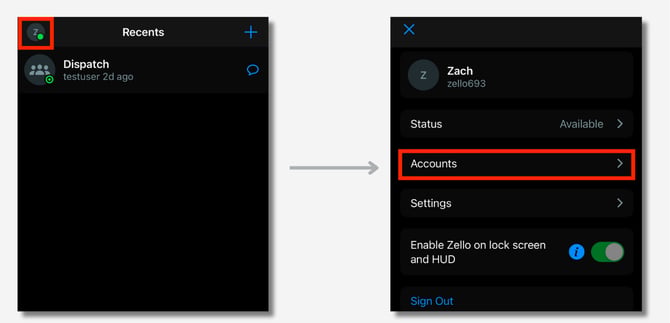 4 select accounts ios